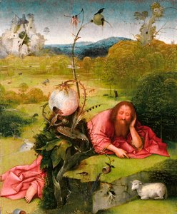 Saint John the Baptist in the Desert
