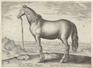 Horse from Thessaly by Hieronymus Wierix
