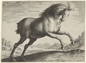 Horse of the Equus Regius Breed by Hieronymus Wierix