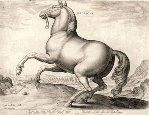 Gallicus from the Series Horses from the Stable of Don Juan of Austria by Hieronymus or Jerome Wierix