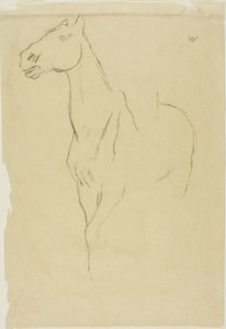 Horse Turned Three-Quarters