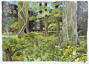 Behind the Squires, Devon by Hilary Jones