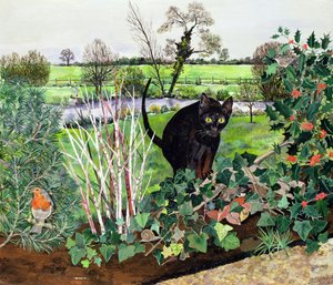 Winter Cat by Hilary Jones