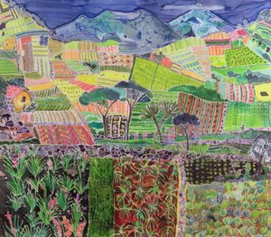 Cabbages and Lillies Revisited, Guatemala, 2006 by Hilary Simon