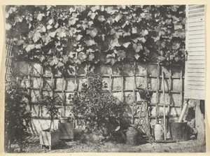 The Trellis by Hippolyte Bayard