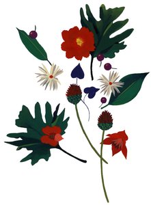 A flower that makes you imagine Christmas by Hiroyuki Izutsu