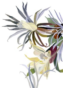 Elegant, Beard-Like Flowers by Hiroyuki Izutsu