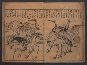 Illustrations of Birds and Flowers (Kachō e-zukushi)