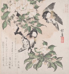 Spring Rain Collection Harusame Shu, vol. 3: Marsh-Tits and Crab Apple Flowers