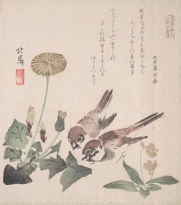 Spring Rain Collection Harusame shu, vol. 3: Sparrows and Dandelions