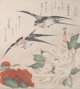 Spring Rain Collection Harusame shu, vol. 3: Swallows and Peonies, ca. 1820
