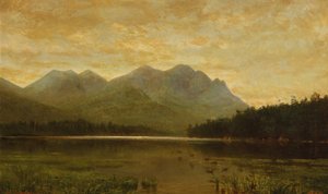 Upper Ausable Lake by Homer Dodge Martin