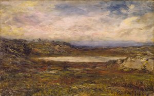 Wild Coast, Newport