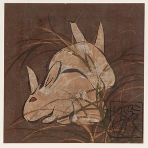 Rabbits and Grasses