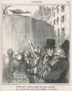 Appearance of ... the Snake of Lacépède Street