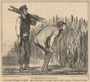 The Worries of the Winemaker
