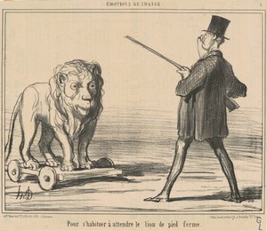 To Get Used to Waiting for the Lion...