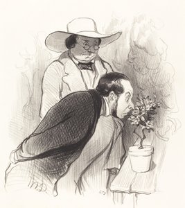 A Botanist