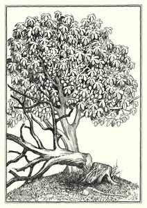Illustration for The Sermon On The Mount by Horace J. Knowles