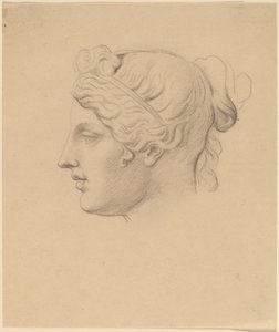 Classical Head in Profile