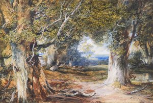 In the Wood by Horatio McCulloch