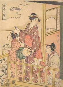 A Long-Tailed Fowl Onagadori, from the series Twelve Assorted Birds, ca. 1791 by Hosoda Eishi