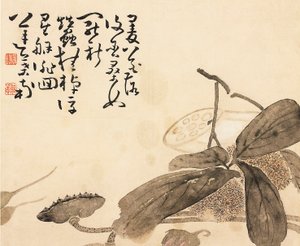 Painted album leaf - Lotus plant, 18th century by Huang Shen