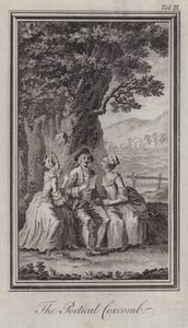 The Poetical Coxcomb by Hubert (after) Gravelot