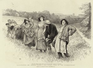 Tess of The D