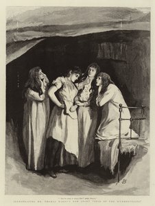 Tess of the D