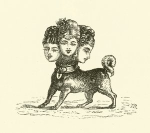 Female Cerberus