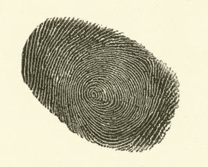 Fingerprint