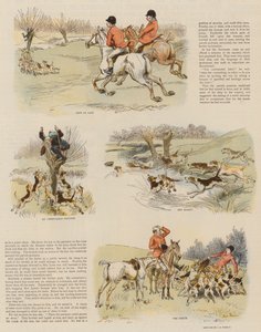 Red Herrings by Parcel Post