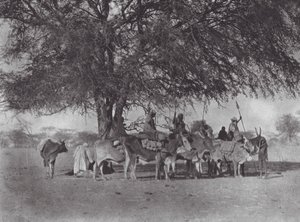 Africa: Caravan of ox-riders on the White Nile by Hugo Adolf Bernatzik