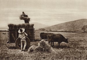Mexico: Farmers Harvesting Wheat by Hugo Brehme