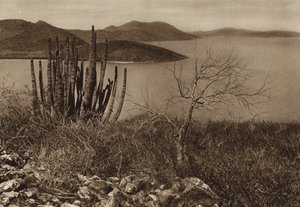 Mexico: Near the coast of Baja California by Hugo Brehme