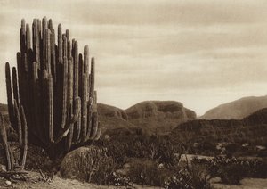 Mexico: Cuicatian, 