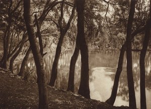 Mexico: The fountains of Tlalpam D.F. by Hugo Brehme