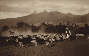 Mexico: The surroundings of Amecameca by Hugo Brehme