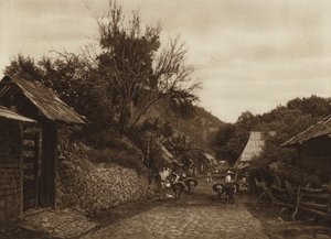 Mexico: Surroundings of Uruapam by Hugo Brehme