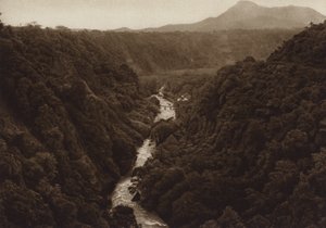 Mexico: Orizaba, Canyon by Hugo Brehme