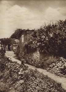 Mexico: Picturesque Corner in San Angel D.F. by Hugo Brehme