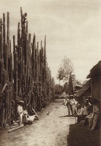 Mexico: Santiago, Characteristic Village Street with Columnar Cacti by Hugo Brehme