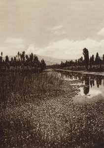 Mexico: Xochimilco, One of the Main Canals