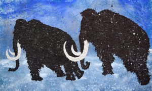 Ice Age