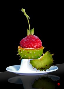 Gooseberry
