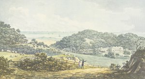 Panoramic 