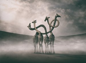 Surreal Giraffe Necks by Hussain Buhligaha