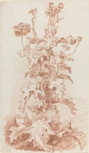Poppies with Seed Pods by I Jean Baptiste Hüet