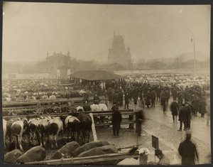Concerning Events at Slaughterhouse: The Stockyard by Iakob Vladimirovich Shteinberg